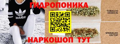 первитин Гусев