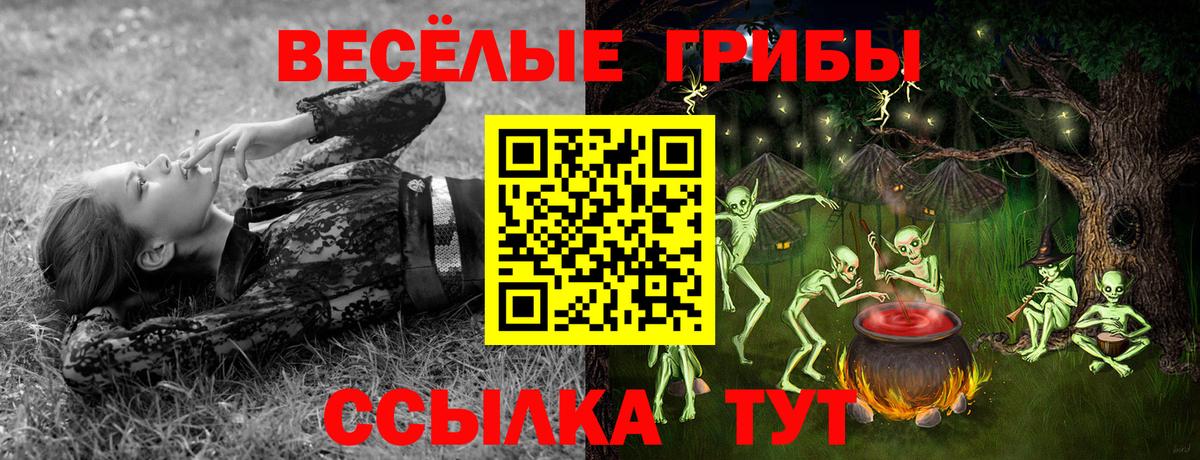 Псилоцибиновые грибы MAGIC MUSHROOMS  продажа наркотиков  Ижевск  Галлюциногенные грибы прущие грибы  Вход с VPN 